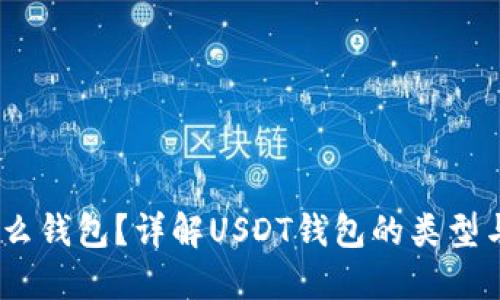 USDT是什么钱包？详解USDT钱包的类型与使用方法