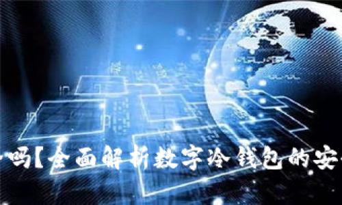 数字冷钱包安全吗？全面解析数字冷钱包的安全性与使用指南