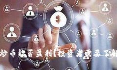 TP钱包炒币能否盈利？投资者需要了解的真相