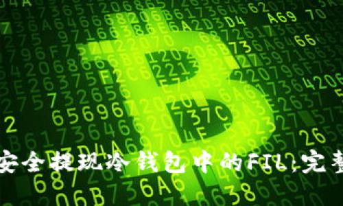 如何安全提现冷钱包中的FIL：完整指南