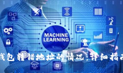 如何处理TP钱包转错地址的情况：详细指南与解决方案