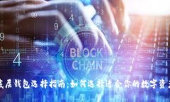 TP钱包单底层钱包选择指南：如何选择适合你的数