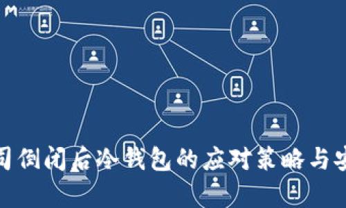库神公司倒闭后冷钱包的应对策略与安全措施