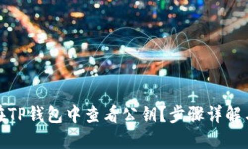 如何在TP钱包中查看公钥？步骤详解与技巧