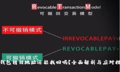 TP钱包转错地址还能找回吗？全面解析与应对措施